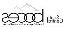 BOCES logo image